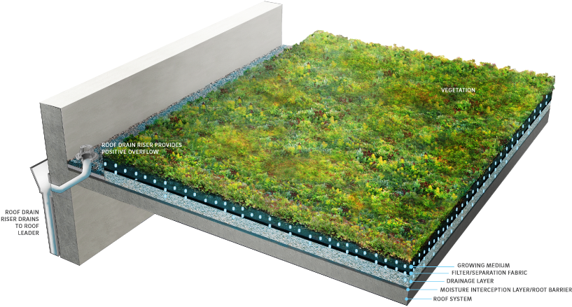 2 Green Roof Components - Green Roof (840x457), Png Download