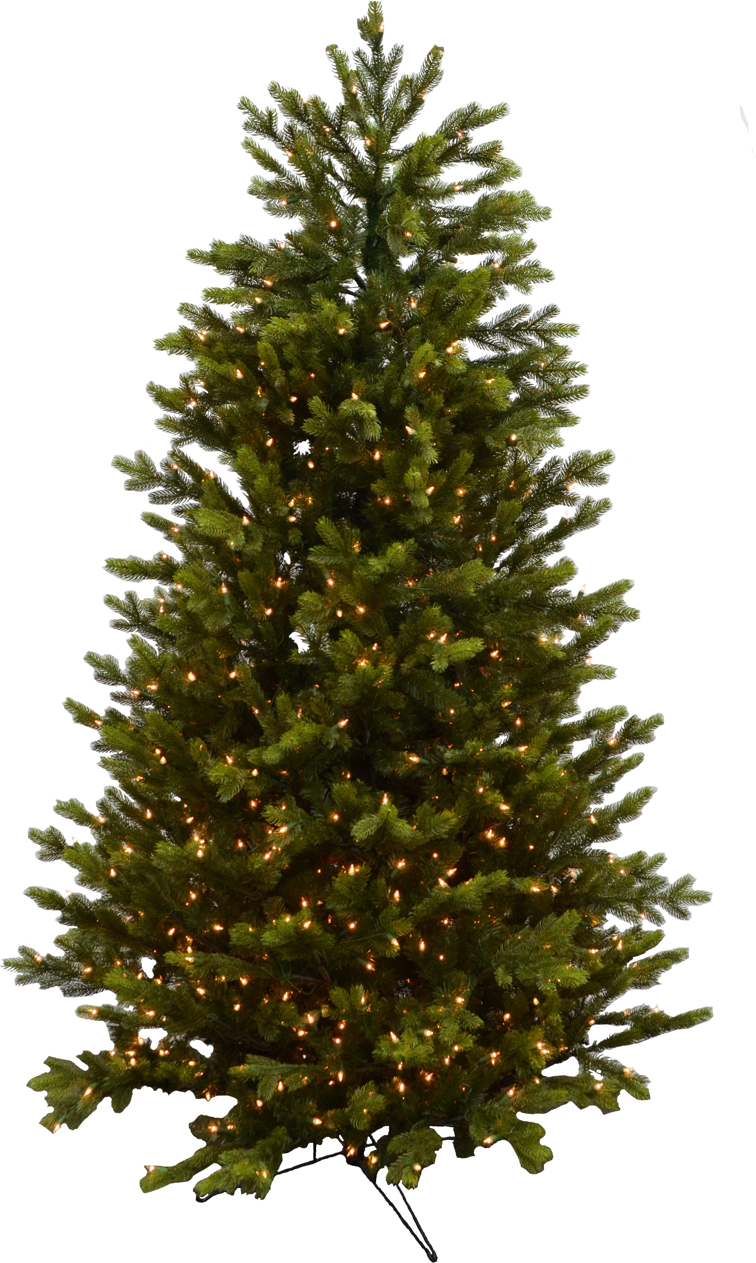 Evergreen Branch Png (3034x4598), Png Download