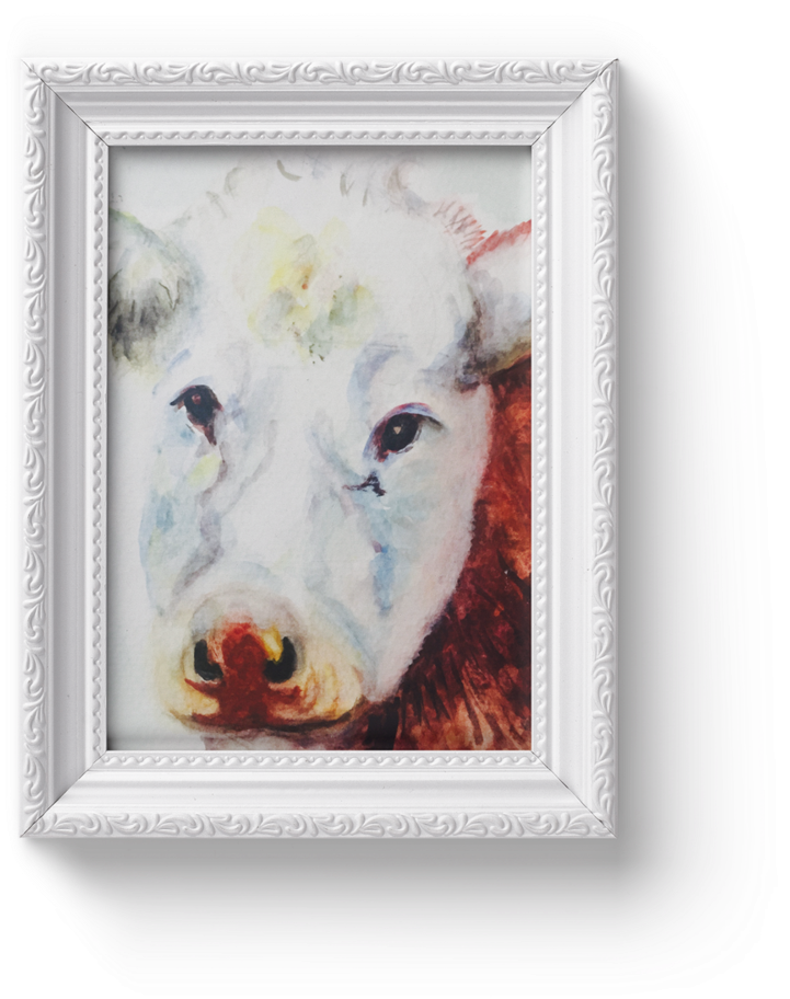 Cow-face (1000x1000), Png Download