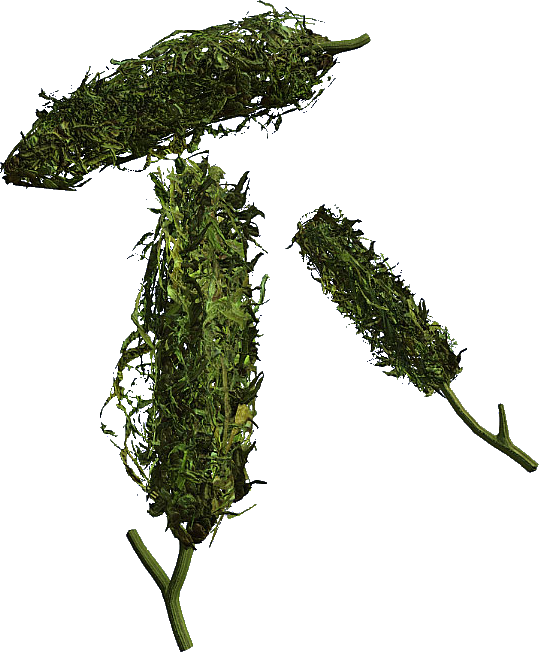 Cannabis (539x652), Png Download
