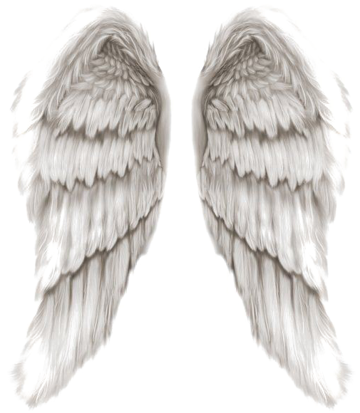 Angel Wings Png Transparent Image - Angel Wings Png Free (601x600), Png Download