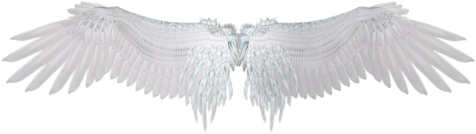 Angel Wings - Auf Dem Weg Ins Goldene Zeitalter By Udo Golfmann 9783743166158 (960x340), Png Download