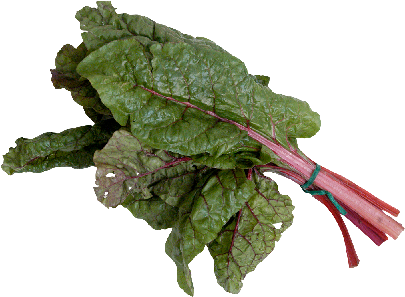 Mangold Or Swiss Chard Png Image - Мангольд Png (1471x1099), Png Download