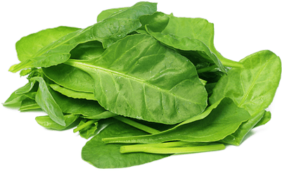 Spinach Powder - Organic 5 Lbs (400x400), Png Download