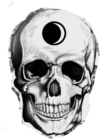 Once They Get The Door Open, Inside There Is A Human - Skull (500x555), Png Download