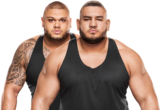 The Authors Of Pain Back On Wwe Main Event, Hideo Itami - Authors Of Pain (562x408), Png Download