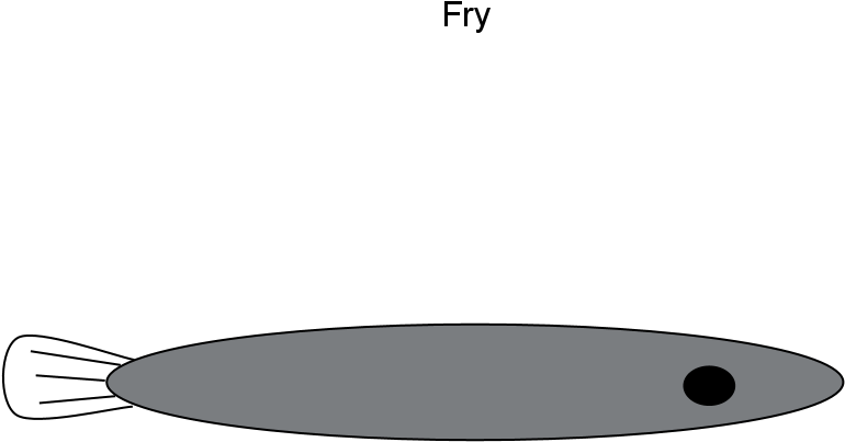 Fry - Circle (960x720), Png Download