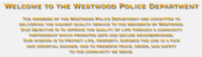 Tan (700x200), Png Download