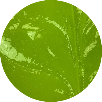 Green Apple Jolly Rancher - Illustration (350x350), Png Download