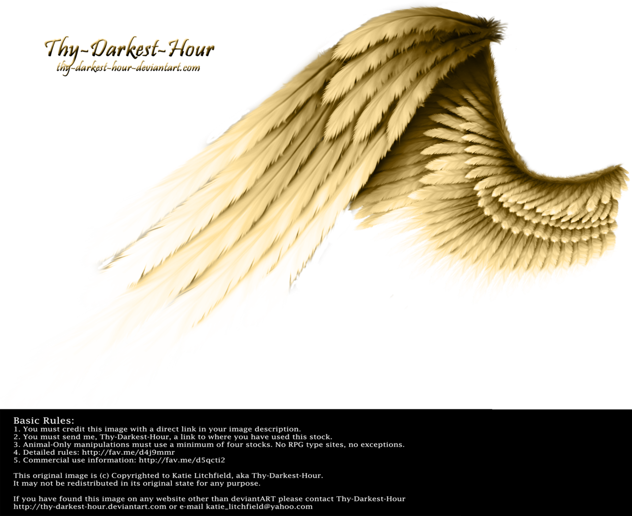 Golden Wings Transparent Background (1280x1045), Png Download