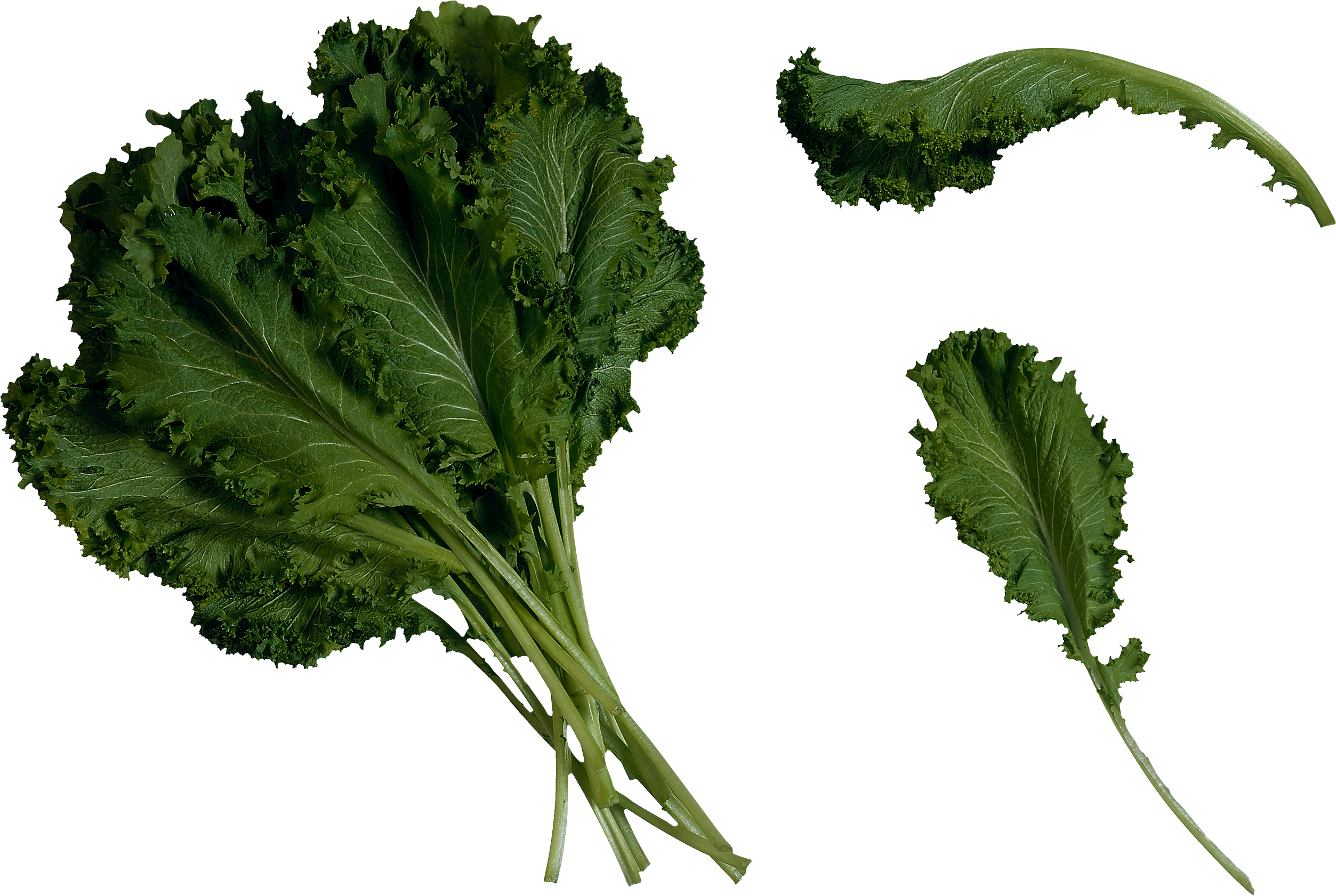 Download Hd Kale Transparent Clipart Mustard Greens Transparent Png Image Nicepng Com