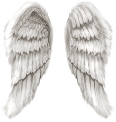 Angel Wings Png 14 Real Angel Wings Psd Images - Angel Wings Only (382x400), Png Download