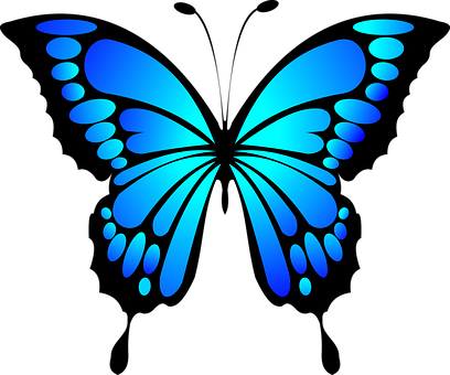 Butterfly Blue Insect Summer Wings Butterf - Blue Butterfly (408x340), Png Download