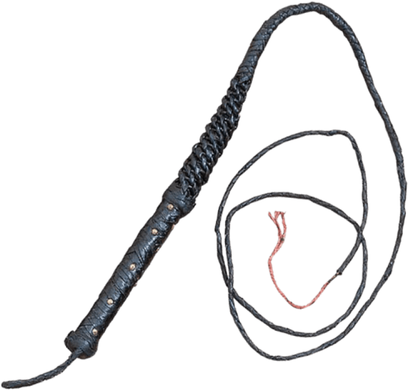 Free Png Whip Png Images Transparent - Whip Png (480x480), Png Download