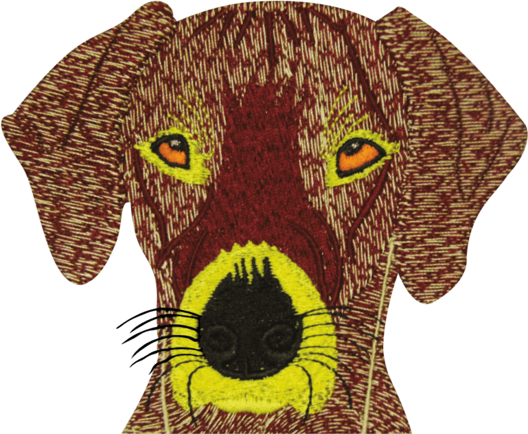 Dog Face Embroidery Digitizing Sewout Sample - Dog (1024x889), Png Download
