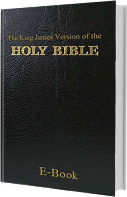 King James Holy Bible - Holy Bible Pdf (300x400), Png Download