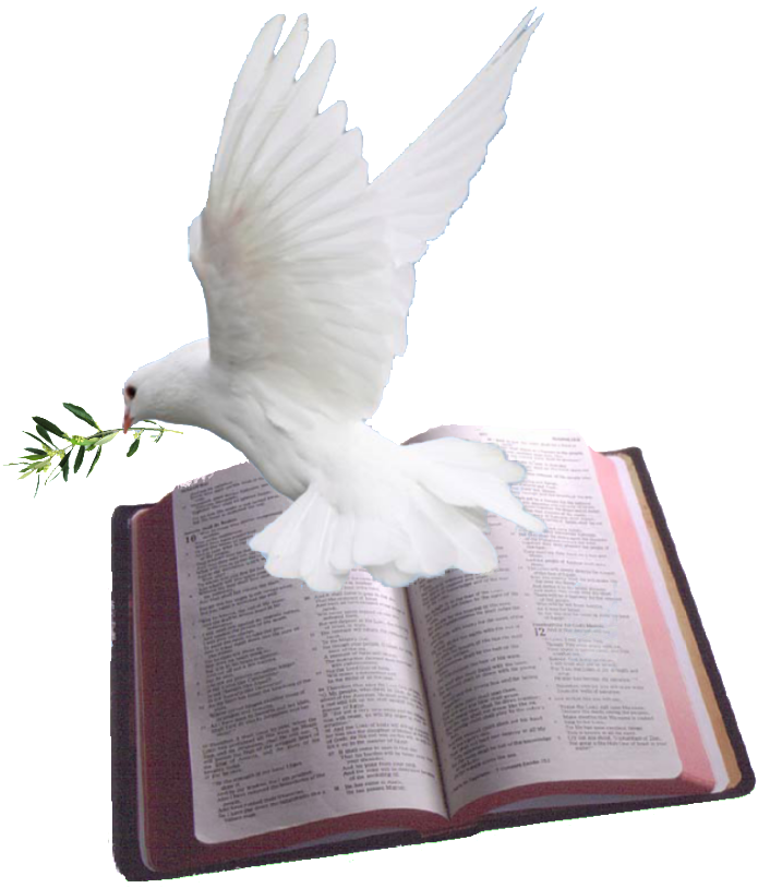 Holy Spirit Dove Png - Bible With Dove Png (1024x820), Png Download
