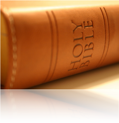 Holy-bible - Holy Bible (391x412), Png Download