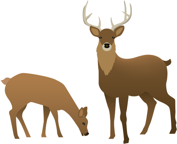Stag And Doe Silhouette Download - Transparent Background Deer Clipart (600x487), Png Download