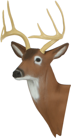 Deer Head Png - Reindeer (600x600), Png Download