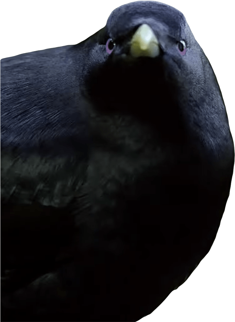 Lemme Smash Bird - Lemme Smash Blue And Yellow (1000x1245), Png Download