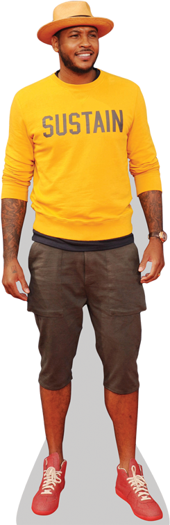 Carmelo Anthony Cardboard Cutout - Carmelo Anthony Cut Out (363x757), Png Download