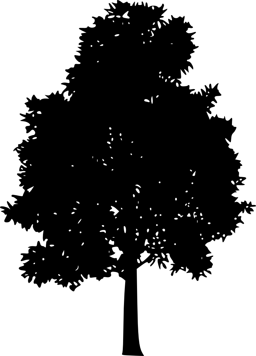 Free Download - Portable Network Graphics (863x1200), Png Download