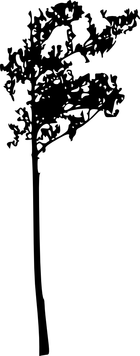 Free Download - Silhouette (473x1200), Png Download