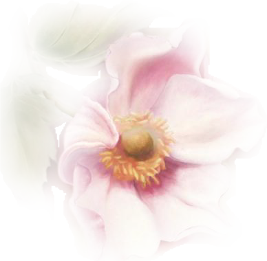 - La Passion Des Tubes Psp Psp, Mists, Tube, Giant - .net (388x380), Png Download