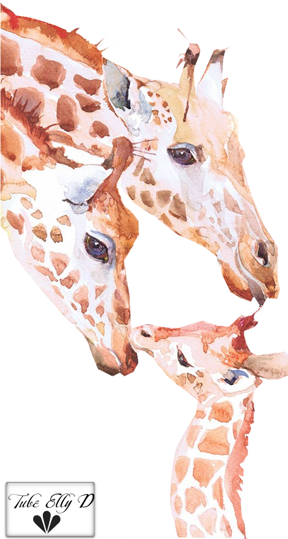 Giraffe Watercolor Png (564x1091), Png Download
