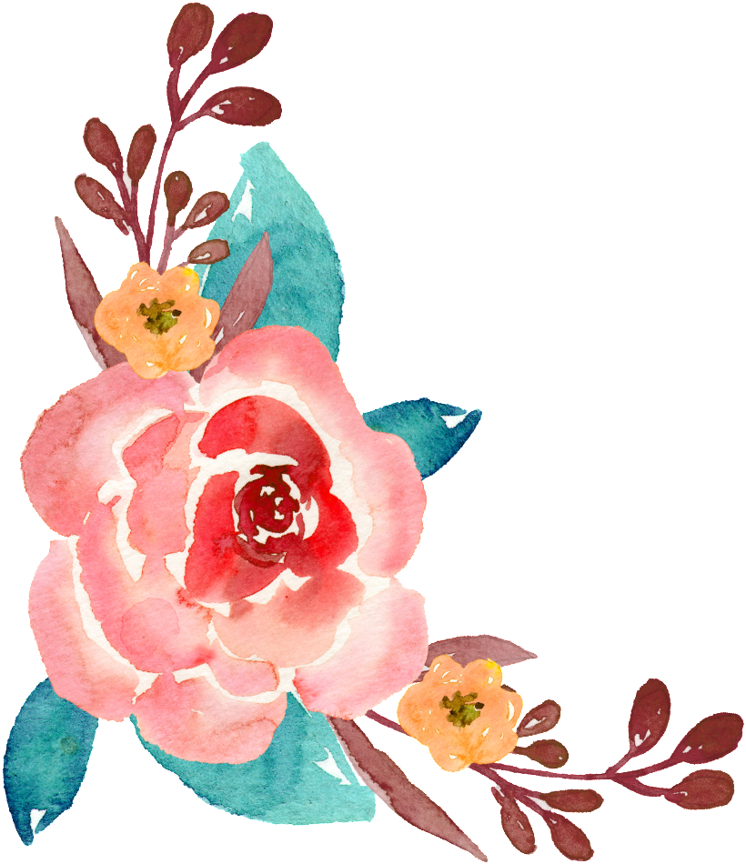 Ornamental Material For Hand-painted Watercolor Plants - 花草 水彩 (1024x1024), Png Download