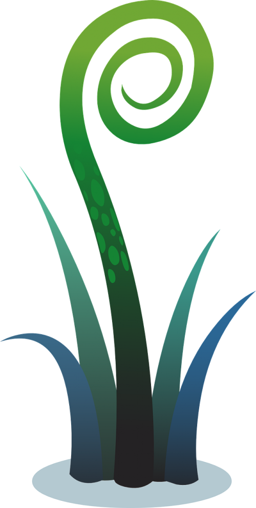 Fern (500x993), Png Download