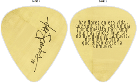 Tori Sparks Signature Guitar Pick (500x500), Png Download