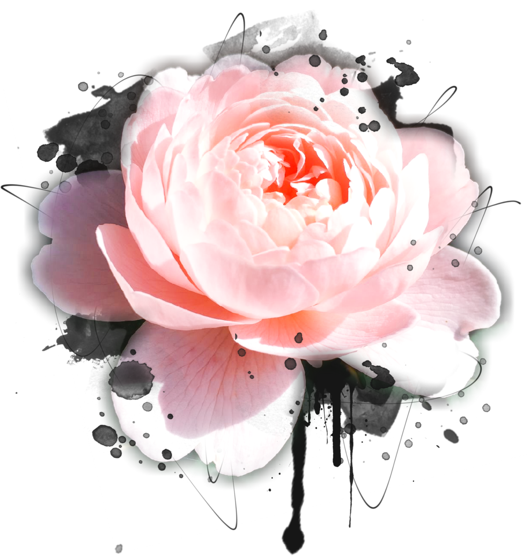 Watercolour Photo Collage - Watercolor Painting (1754x2482), Png Download