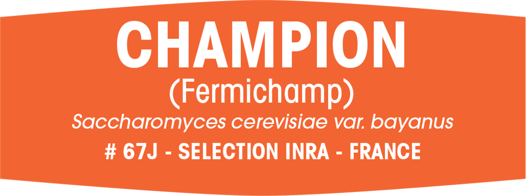 Champ-1 - Yeast (1024x382), Png Download