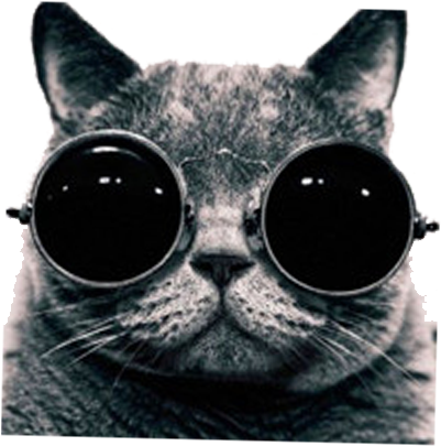 British Shorthair Photography Photographer - Cool Cat With Sunglasses Png (500x500), Png Download