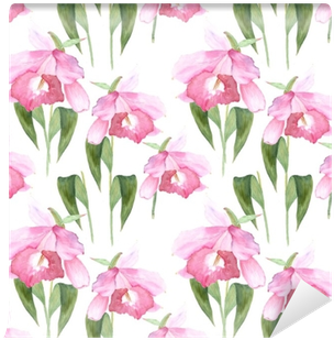 Pink Orchid, Cattleya On White Background - Cattleya Orchids (400x400), Png Download