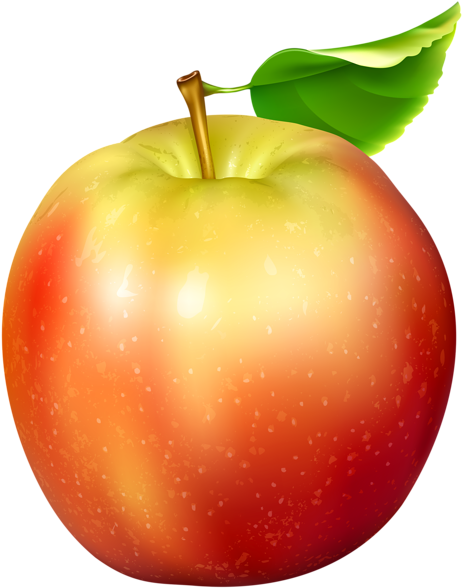 Red And Yellow Apple Transparent Png Clip Art Image - Apple Clipart Transparent (477x600), Png Download