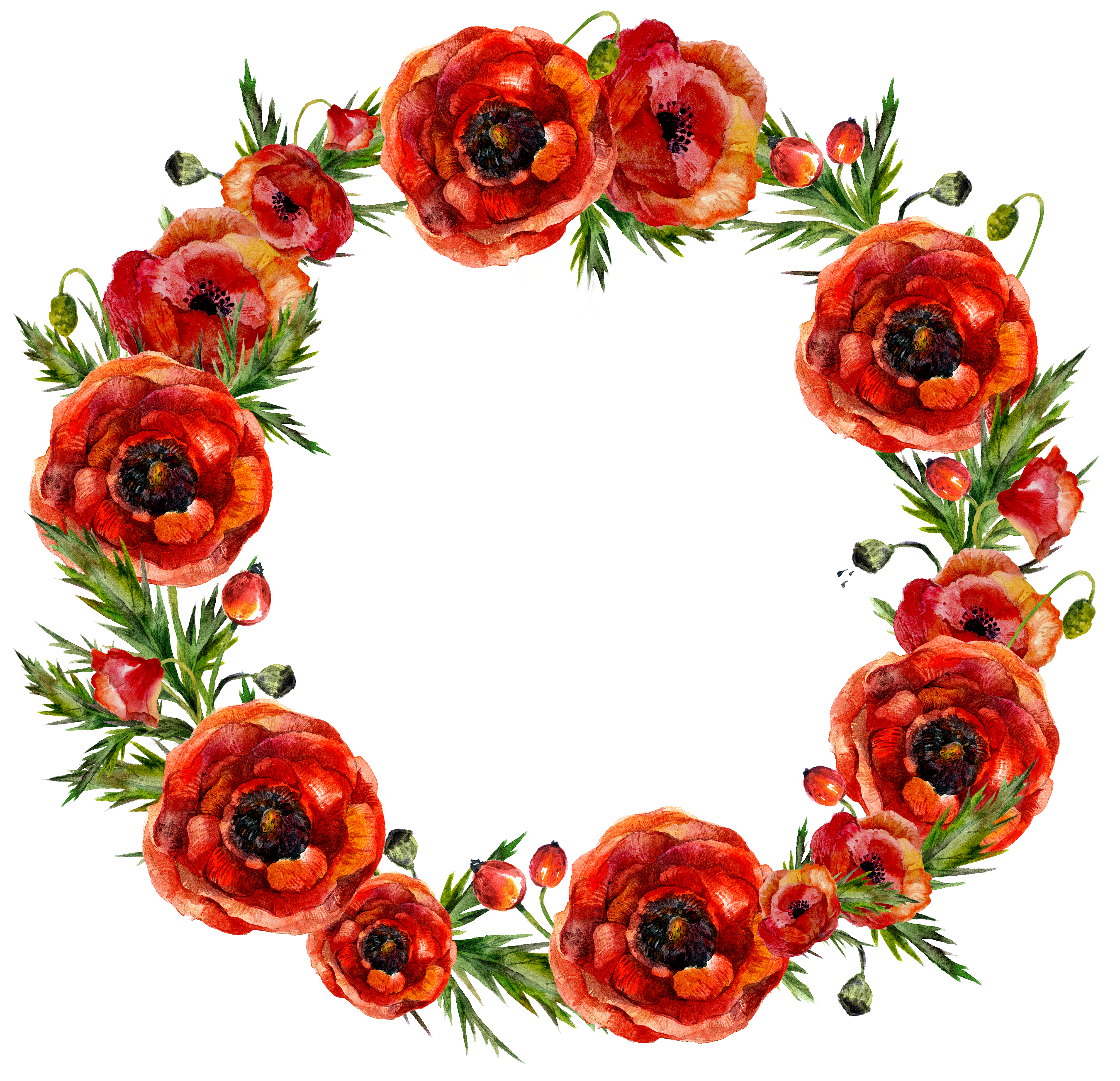 H269b Poppies, Watercolour, Decoupage, Pen And Wash, (5000x5000), Png Download