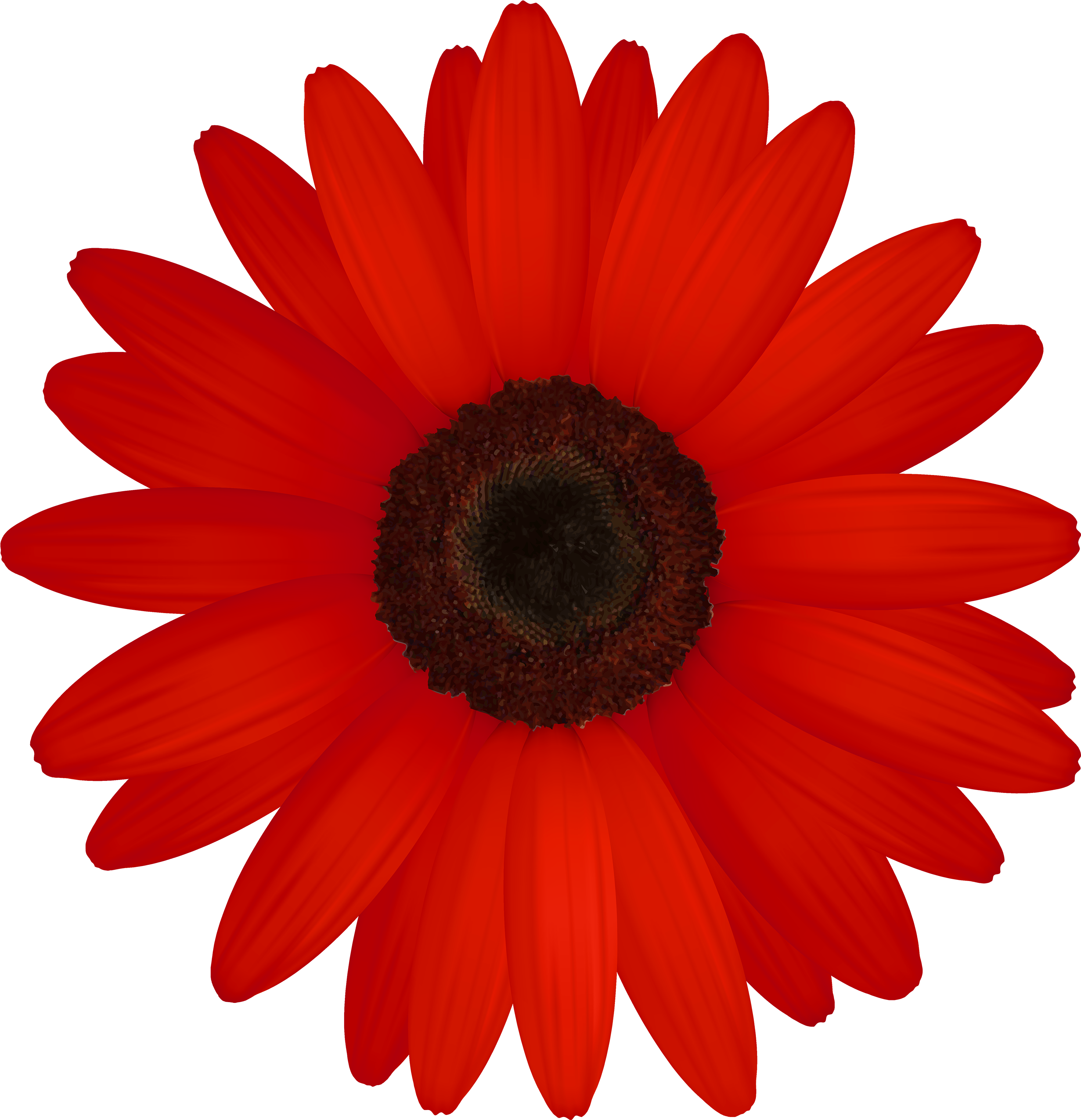 Red Gerber Png Clipart - Red Flower Clip Art (3000x3110), Png Download