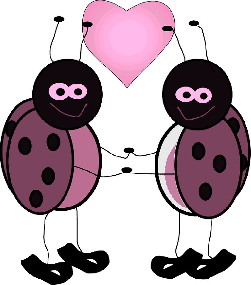 Mb Image/png - Concomitant Definition (800x909), Png Download