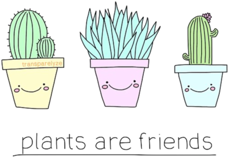 Drawn Cactus Overlays - Overlays Tumblr Png Cactus (500x344), Png Download