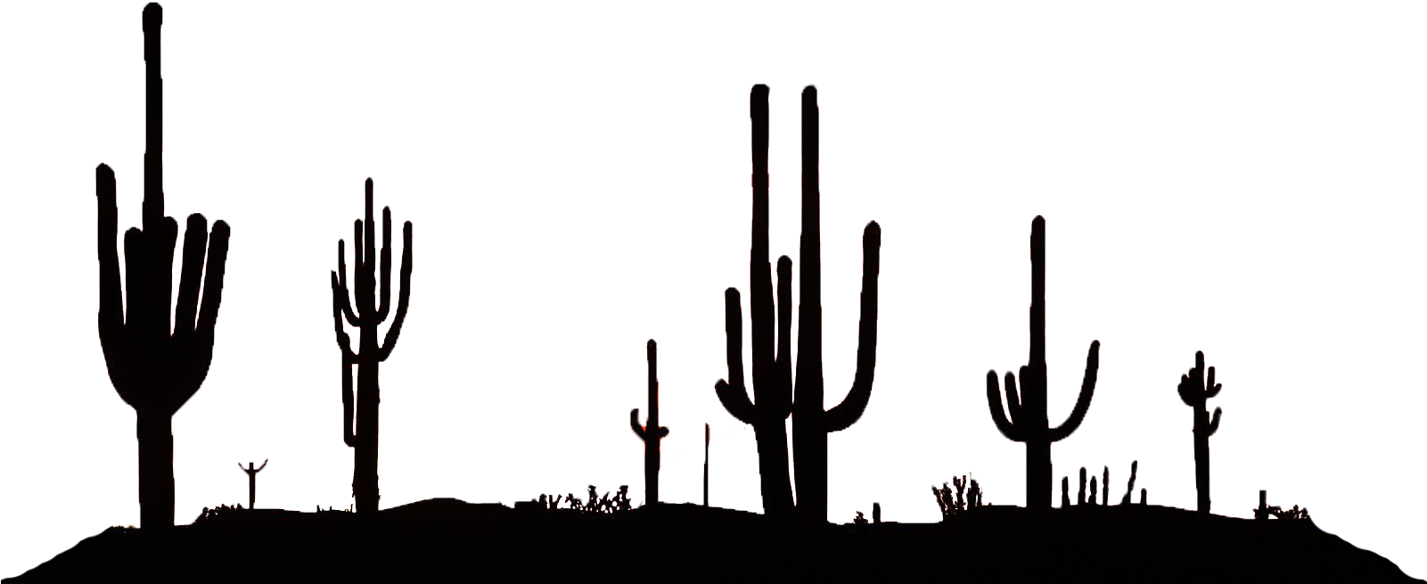 Desert Silhouette Png Png Library Download (1600x785), Png Download