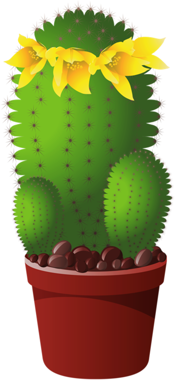 Picture My Garden Valley Pinterest Cacti Clip - Cactus Tree Pot Clipart (399x798), Png Download