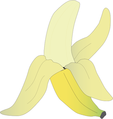 Drawn Banana Peeled Banana - Zingiberales (379x400), Png Download