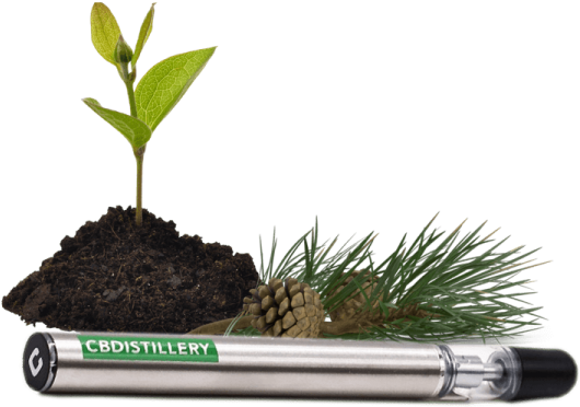 Home / Vape / Cbd Disposable Vape Pens - Cannabidiol (600x600), Png Download