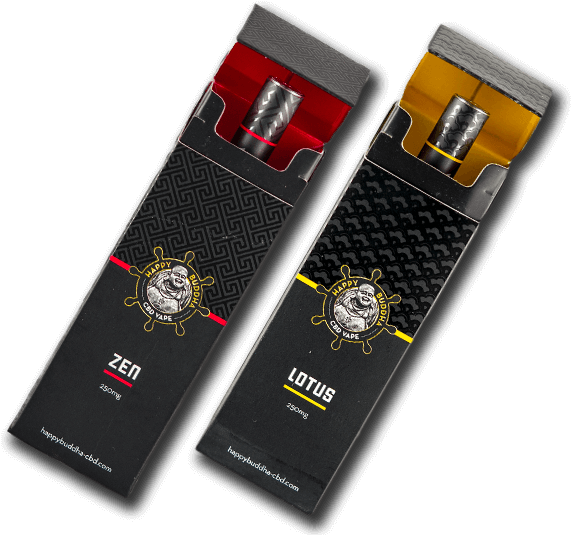 Hero Product - Buddhism (580x536), Png Download