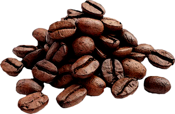 Coffee Beans High Quality (570x370), Png Download