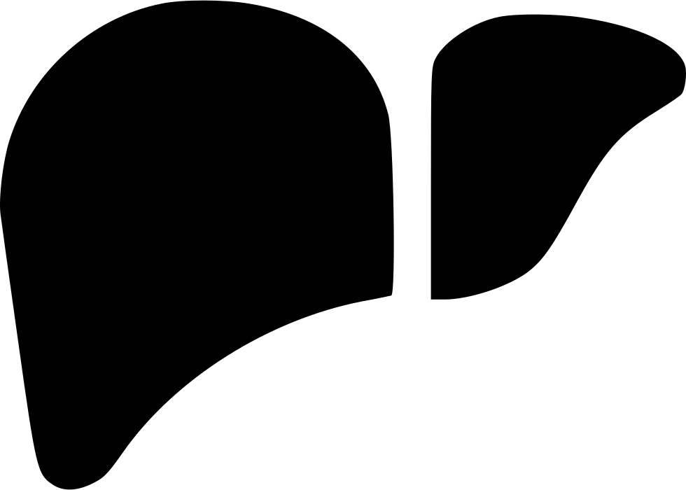Health Liver Organ Surgery Human Body Part Comments - Human (980x700), Png Download