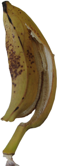 Wednesday, February 15, - Saba Banana (231x640), Png Download
